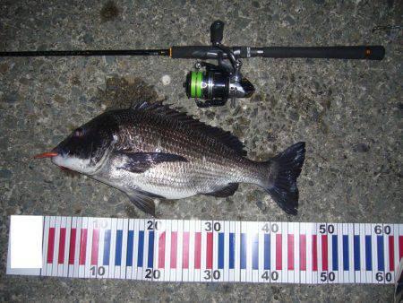 チニングにてようやく本命をGET(σ・∀・)σｹﾞｯﾂ!!